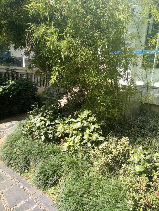 陵县文博苑景区碑亭