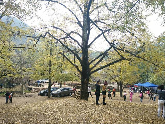 海洋乡大桐木湾村