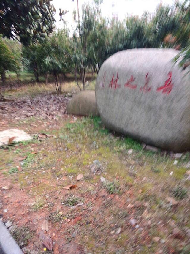 袍谷古文化遗址