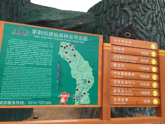 茅荆坝原始森林谷