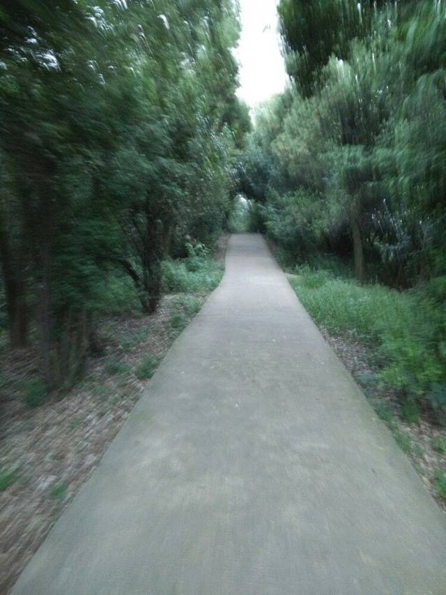 南岳山森林公园