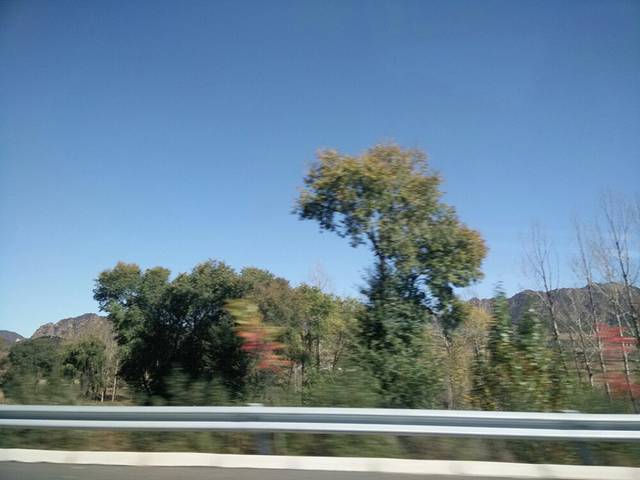 红石峡沙地植物园