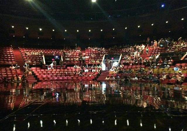 华特迪士尼世界太阳马戏团