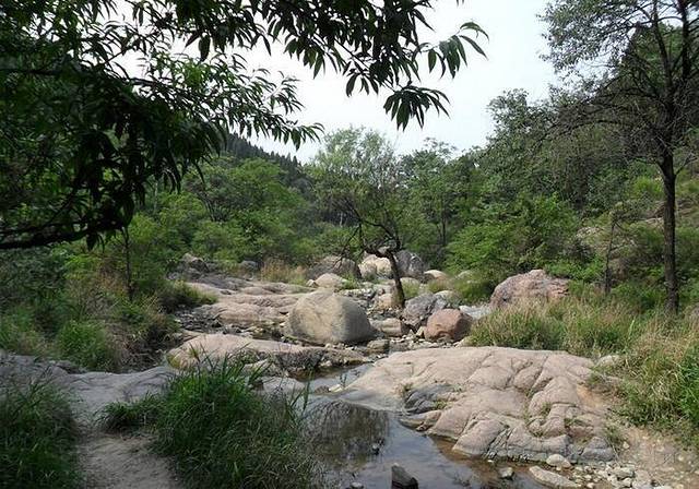 双龙山省级森林公园