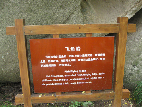 2023鱼石-旅游攻略-门票-地址-问答-游记点评,华阴