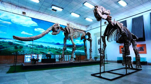 旬邑县民间艺术博物馆