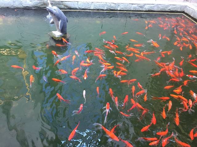 万家丽世界文化大观园