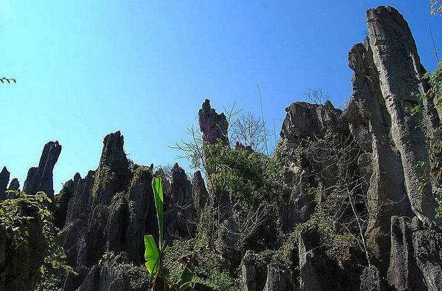 泥凼石林风景区