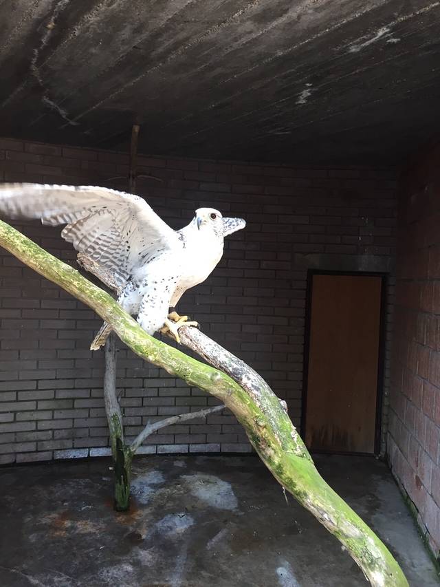 贝尔格莱德动物园