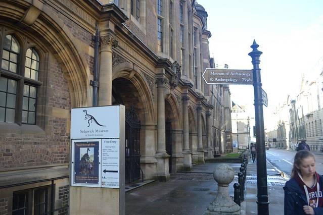 Sedgwick Museum of Earth Sciences