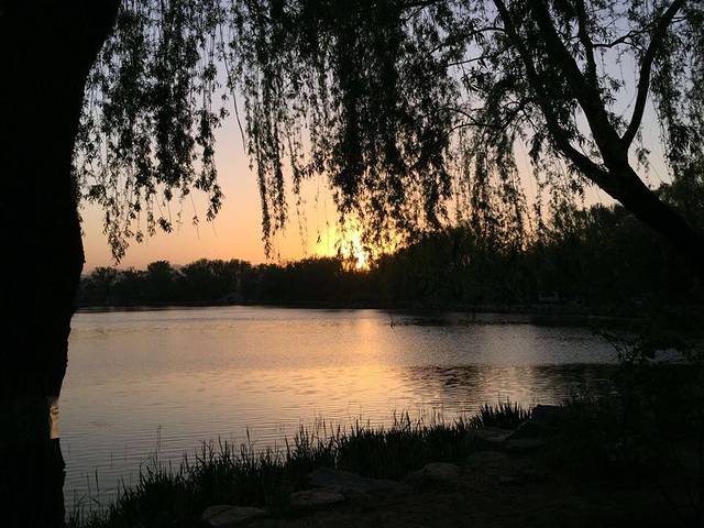 北京大学-朗润园