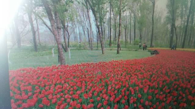 金海湾森林公园