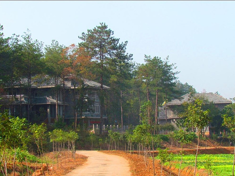 2024白鹿春风景区-旅游攻略-门票-地址-问答-游记点评,京山旅游旅游