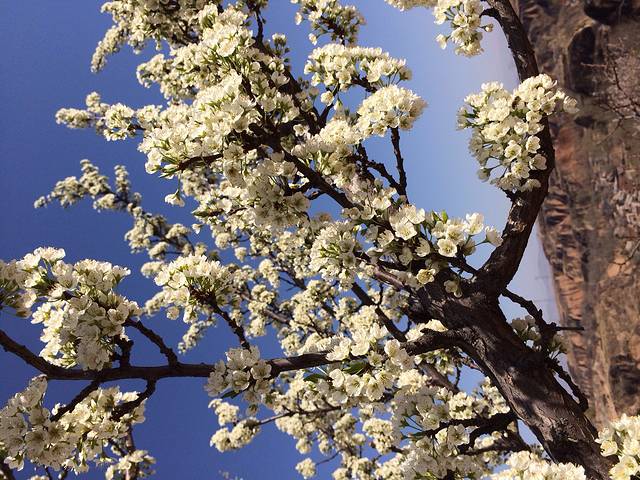 天涯山风景区-石鼓祠