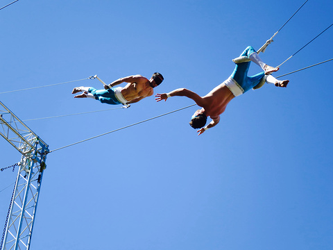 gorilla circus - flying trapeze school