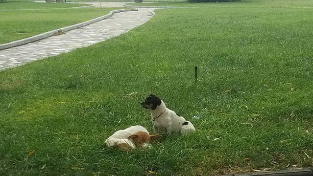 西安莲花山森林公园