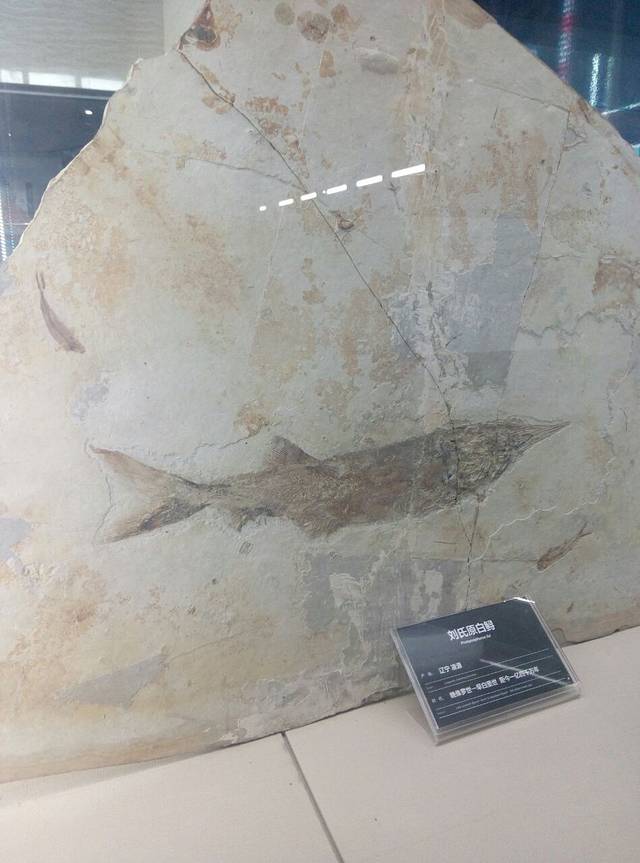 白垩纪国家地质公园