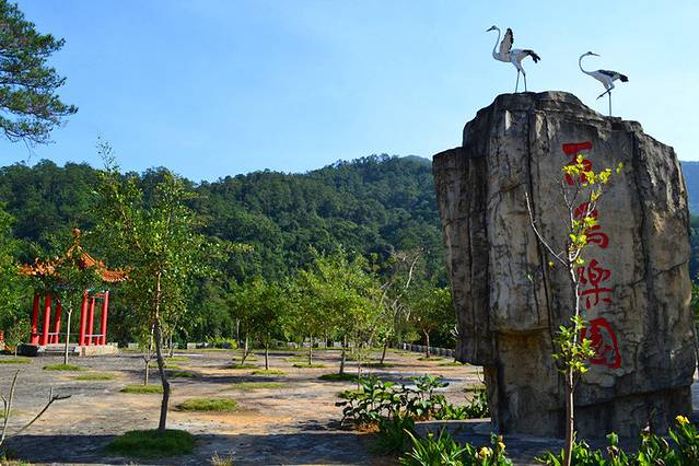 2018百鸟乐园_旅游攻略_门票_地址_游记点评,上思旅游景点,酒店,购物