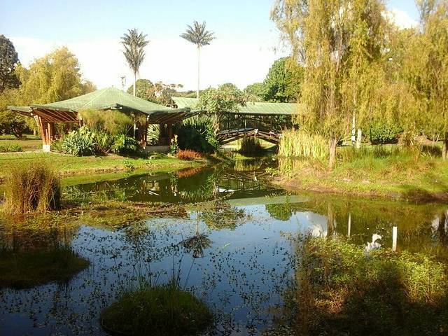 Botanico Jose Celestino Mutis植物园