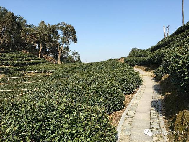 杭州西湖风景名胜区-贵人阁