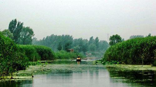 荷花淀休闲岛
