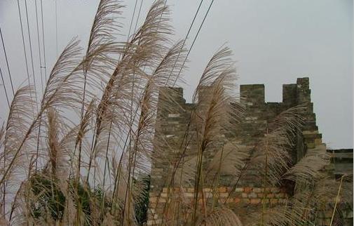小南山公园-赤湾烟墩