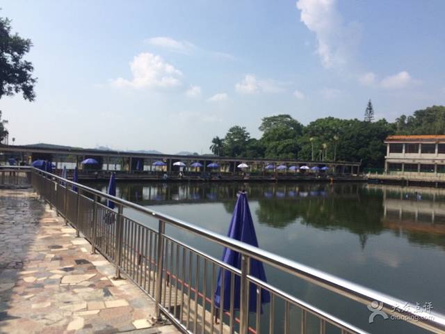 西丽湖垂钓中心