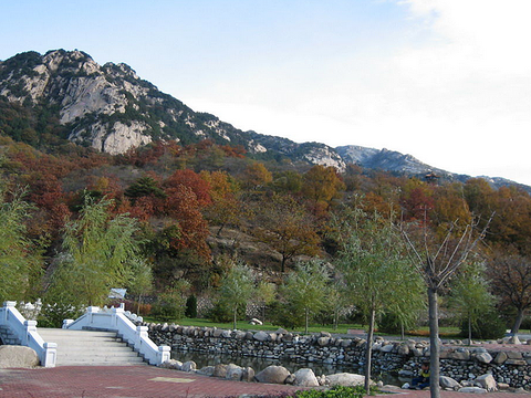 大杨山国家森林公园