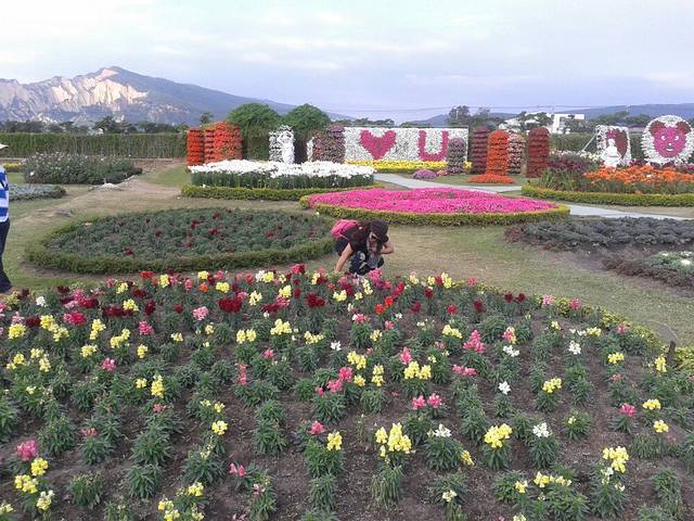 中社观光花市
