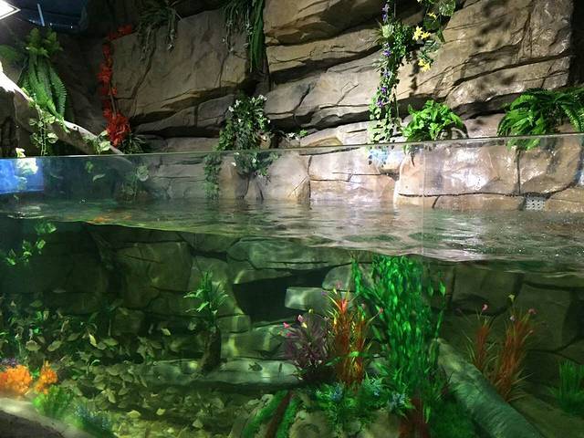 溱湖海昌海洋馆