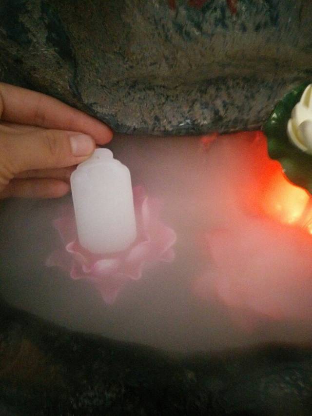 菩提寺森林公园