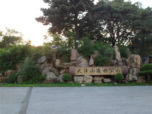 大洋山森林公园