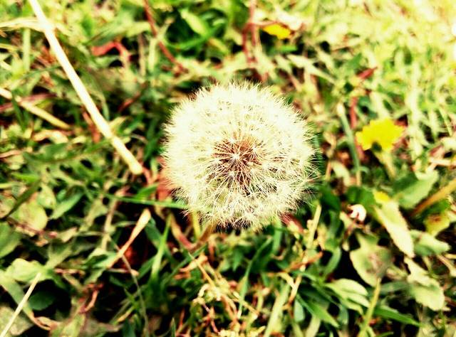 上城区文化馆(惠民馆)