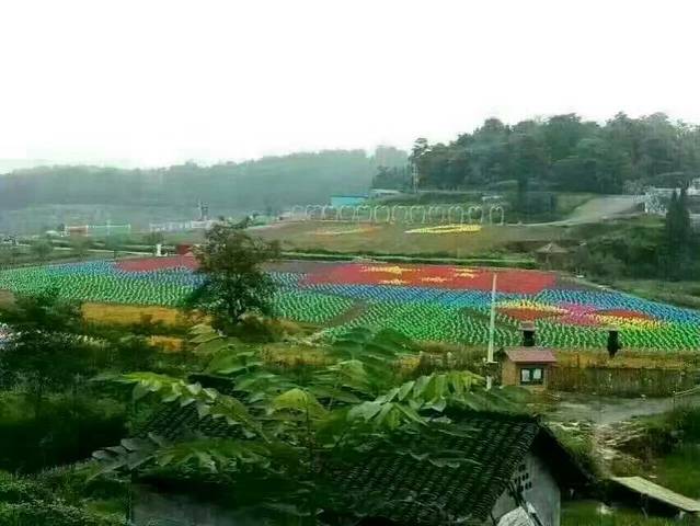 凤凰塘桥香薰山谷