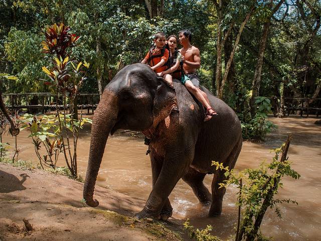 老挝大象保护村
