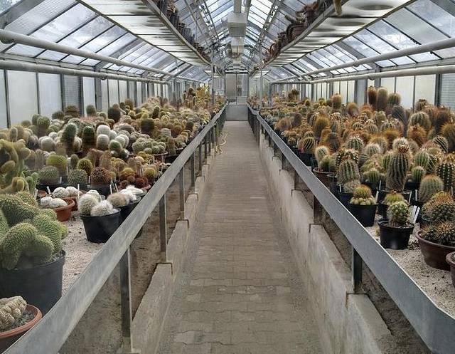 海德堡大学植物园