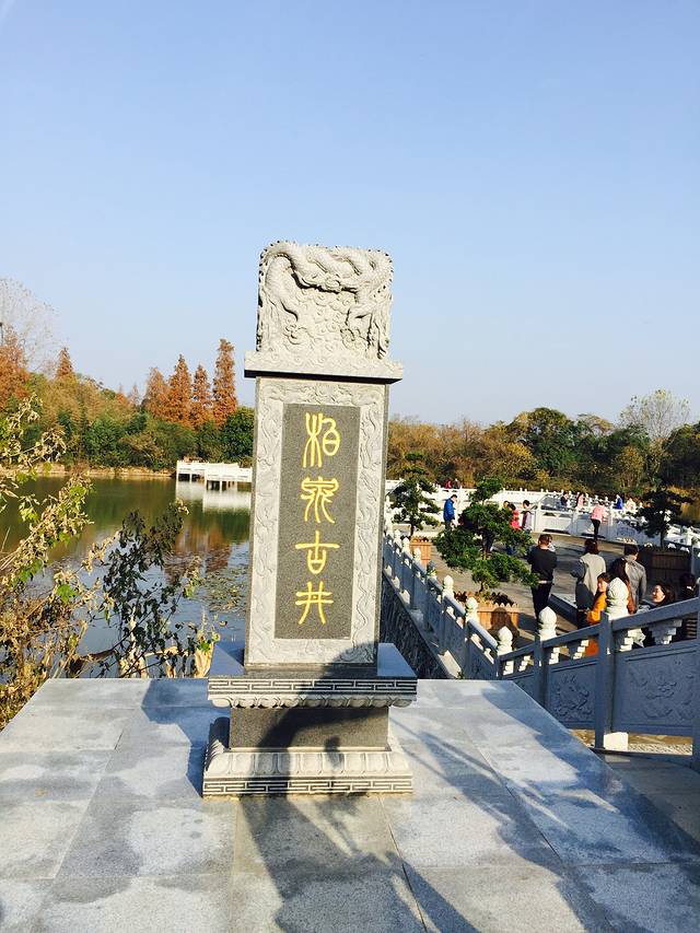 柏泉古井度假村