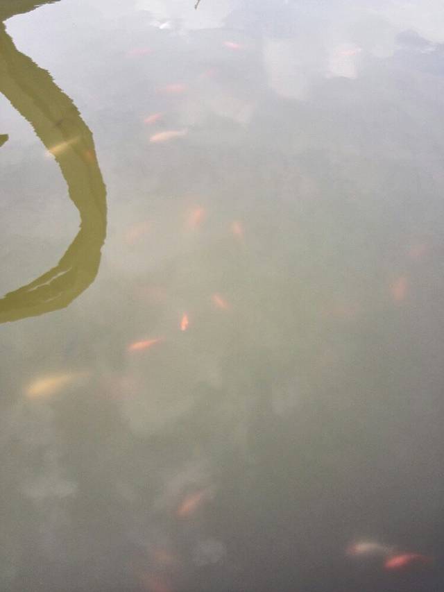 北洞山西汉楚王陵