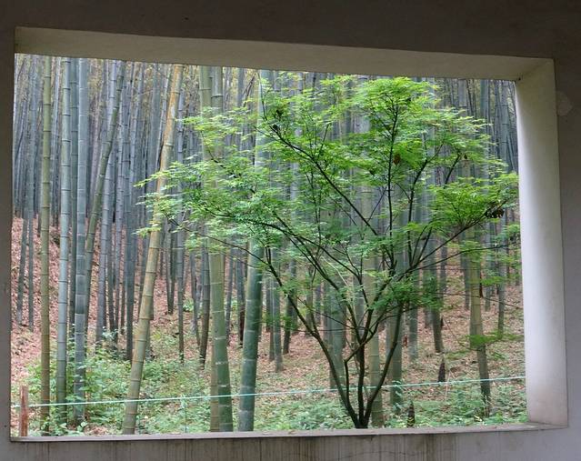 杭州西湖风景名胜区-兜云亭