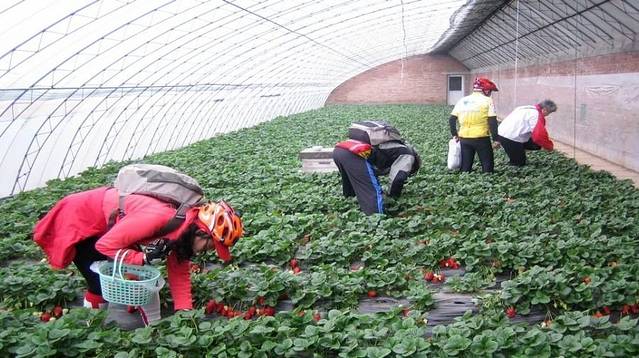 神然生态农业观光园