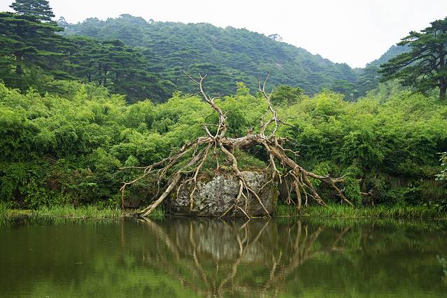 紧靠净衣池,清华池,是三清福地高山盆地… 涵星池位于三清山三清福地