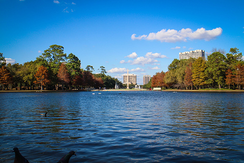 texas gulf coast旅游图片