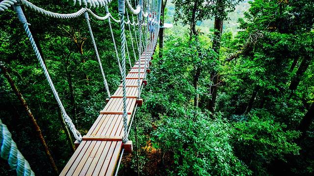 兰卡威Umgawa丛林飞跃