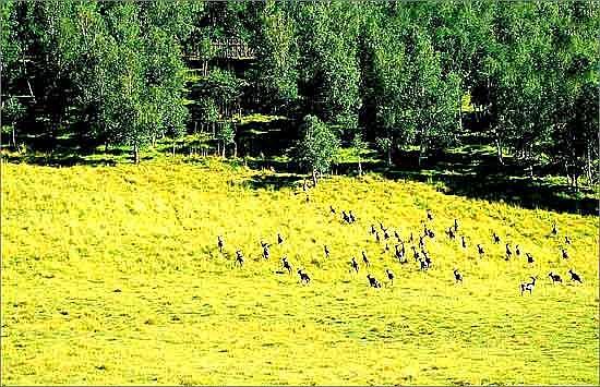 河北滦河上游自然保护区