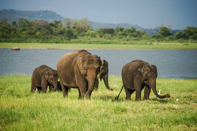米内日亚国家公园