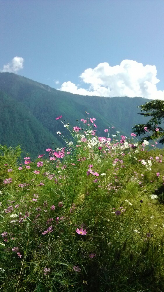 西藏察隅慈巴沟国家级自然保护区