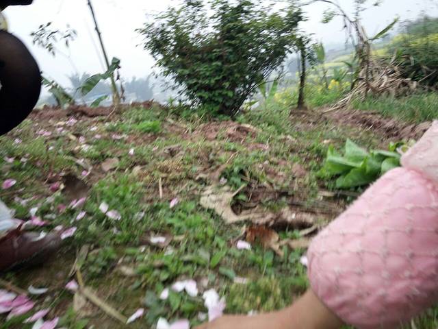 瑞安市塘下镇肇平垟革命纪念馆