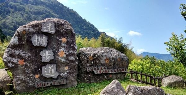 阿里山迷糊步道