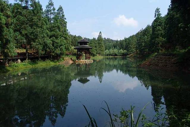 绿荷塘古楠木森林公园