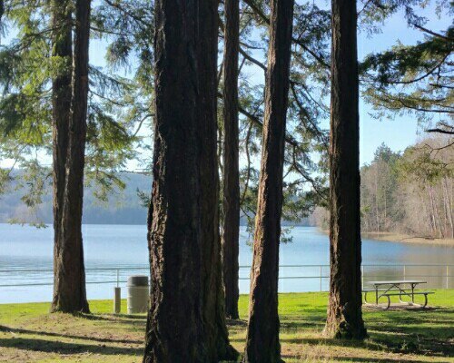 Elk Lake Park
